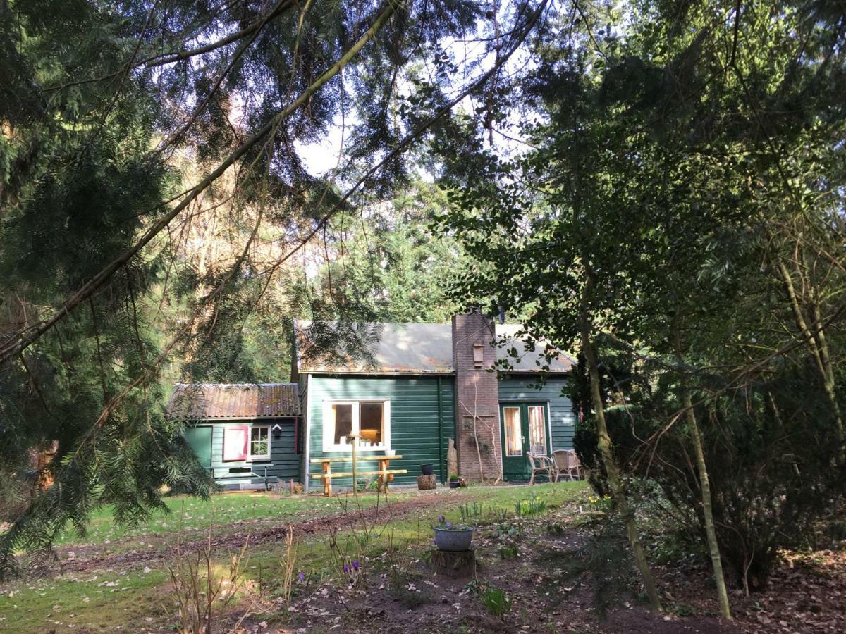 Landgoed De Heezeberg Villa Diever Exterior photo